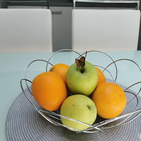 Nekic 3 Apartament
